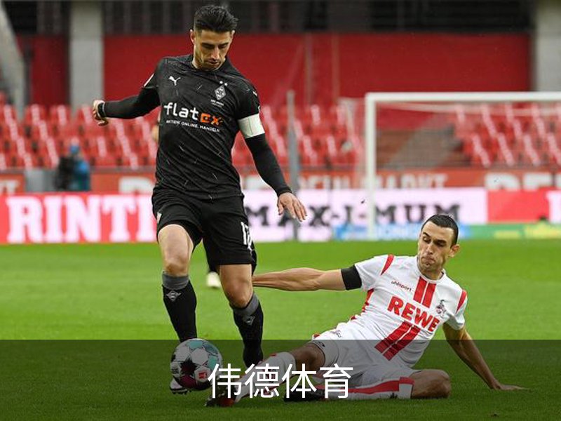 关于伟德体育